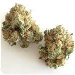 Шишки "White Widow"  (Белая вдова)  Гидропоника -  Бошка VHQ в Кондопоге