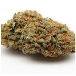 Шишки AK47 (Гидропоника, Бошка) VHQ в Кондопоге Шишки AK47 (Гидропоника, Бошка) VHQ в Кондопоге